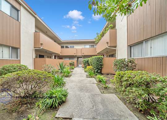 A concrete walkway leads between two buildings with green shrubbery on the sides.