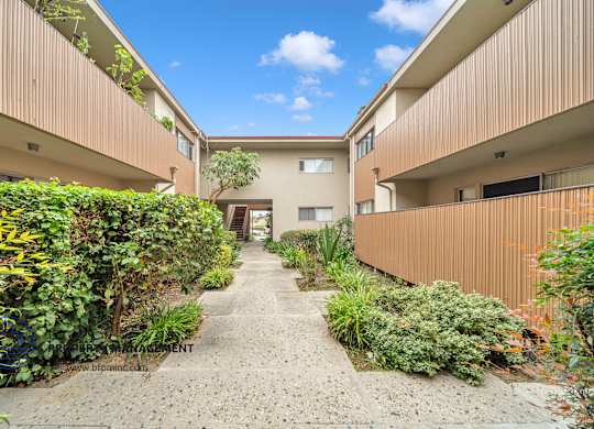 A pathway leads to a building entrance between two buildings with greenery on the sides.