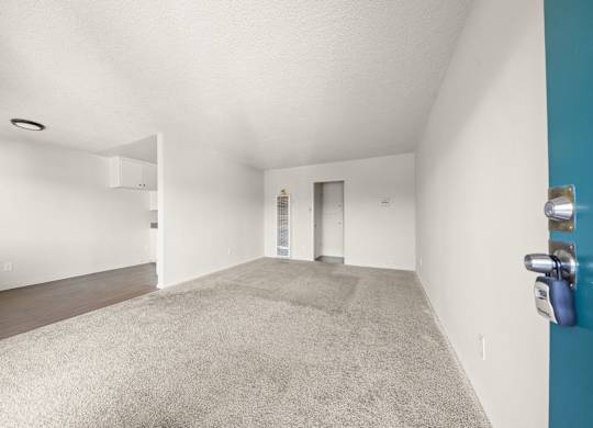 A room with a carpeted floor and a blue wall.