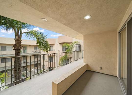 A balcony with a bench and a palm tree.