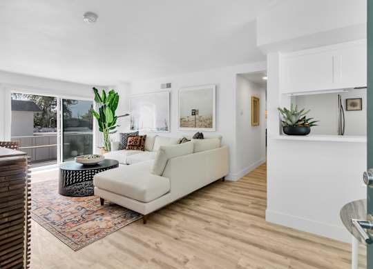 A white couch sits in a living room with a rug and a potted plant.