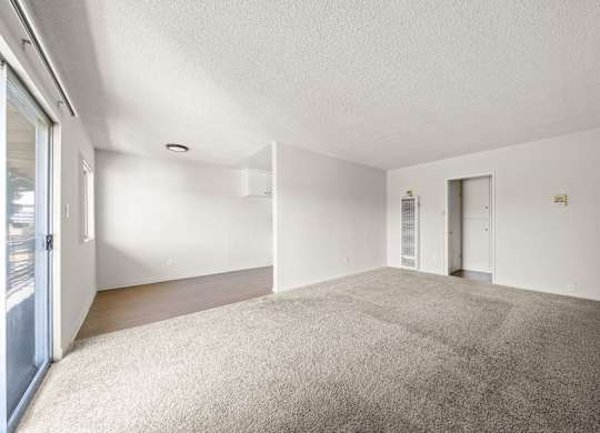 A spacious room with a carpeted floor and white walls.