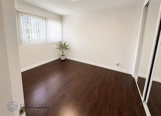 A room with wooden flooring and a small tree in a white planter.