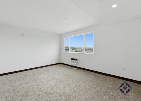 A room with a carpeted floor and a window showing a view of trees and a building outside.