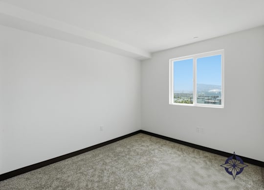 A room with a carpet floor, a window, and a star-shaped object on the floor.