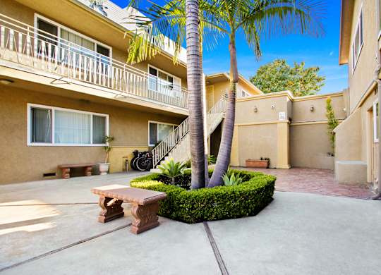 A palm tree stands in the middle of a courtyard between two apartment buildings.