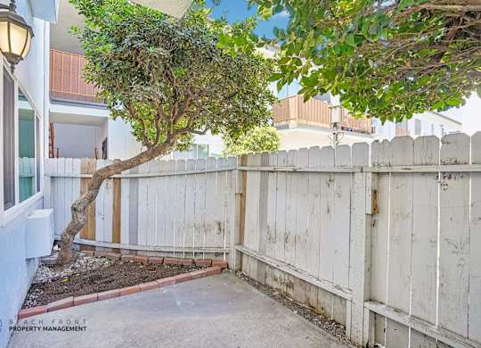 A tree in a yard with a white fence.