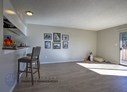 A room with a chair, a dog, and pictures on the wall.