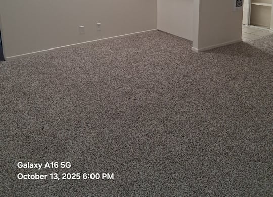 A room with a carpeted floor and a wall-mounted shelf.