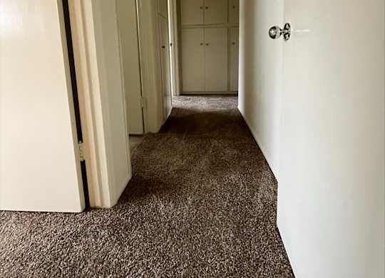 a hallway with a carpeted floor and white walls and a closet