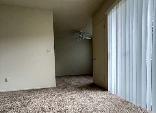 A room with a carpeted floor and a window with blinds.