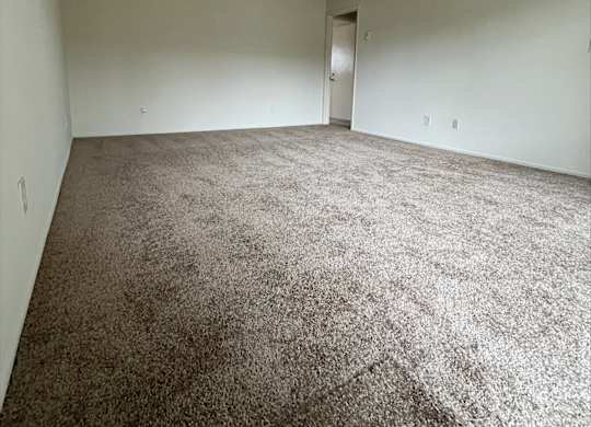 A room with a carpeted floor and a door in the background.
