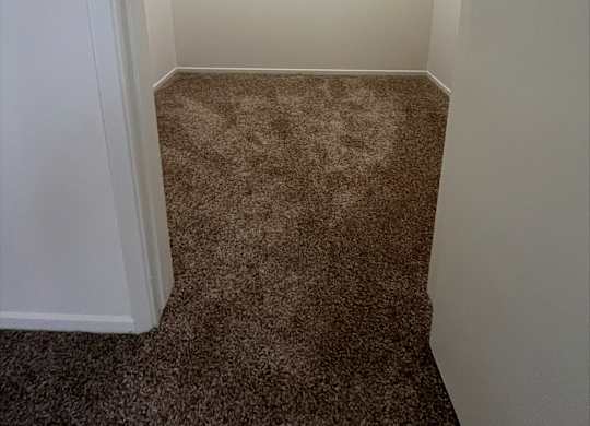 A small, empty closet with a carpeted floor.