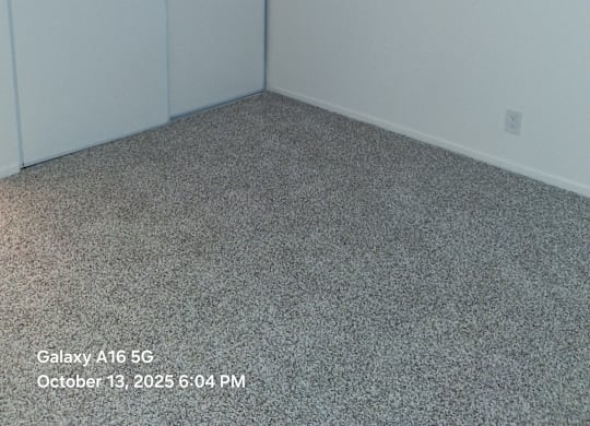A room with a grey carpet and a white wall.
