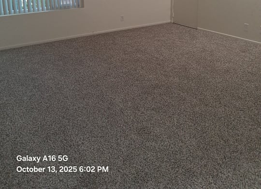 A room with a carpeted floor, a window with blinds, and a door.