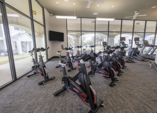 a gym full of spin bikes and ellipticals