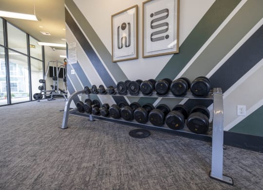 a rack of dumbbells in a gym with stripes on the wall