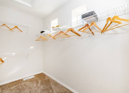 A room with a white wall and a brown carpet.