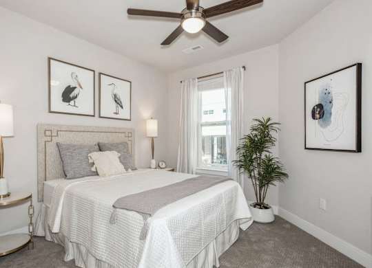 A bedroom with a bed, a ceiling fan, and a potted plant.
