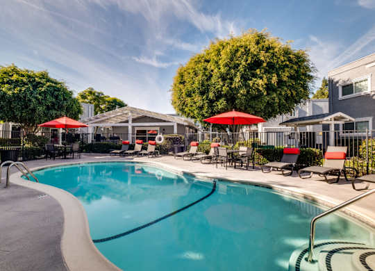 A swimming pool surrounded by lounge chairs and umbrellas.