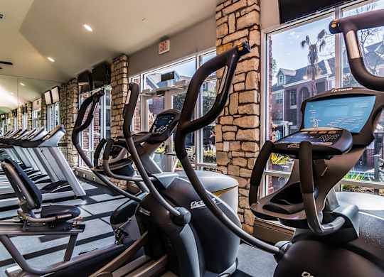 A row of treadmills in a gym with a view of the outside.