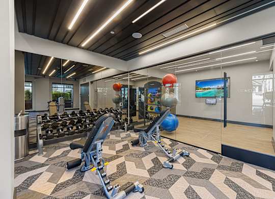 A gym with a variety of equipment including treadmills, weights, and exercise balls.