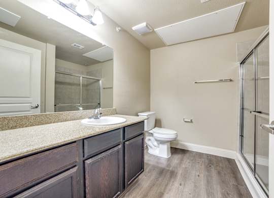 a bathroom with a sink and a toilet and a shower