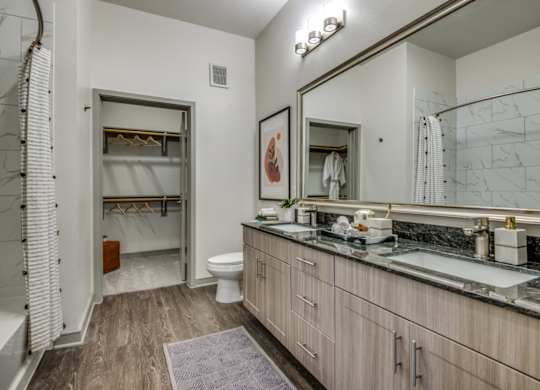 A bathroom with a walk-in shower and a vanity with a mirror.