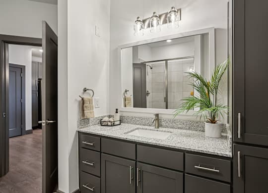A bathroom with a sink, mirror, and a plant.