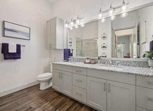 A bathroom with a white toilet and a large mirror.