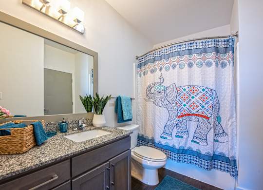 A bathroom with a white toilet, a sink, a mirror, a basket, a potted plant, a shower curtain, and a rug.