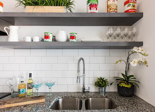 A kitchen with a sink and a shelf with jars and plants.
