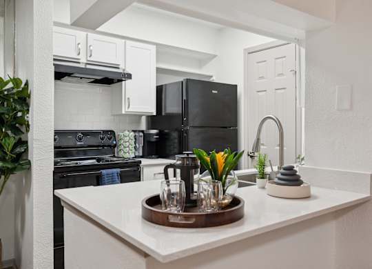A kitchen with a black fridge and stove, a white counter, and a wooden tray with a plant on it.