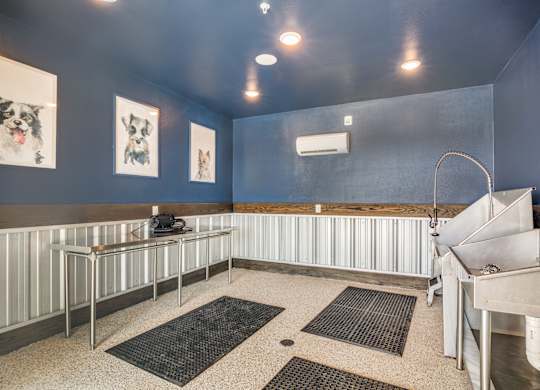 A room with a blue wall and a white sink.