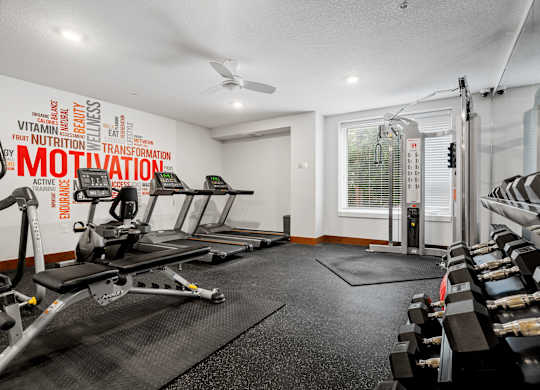 the gym at 1861 muleshoe road has weights and cardio machines and a window