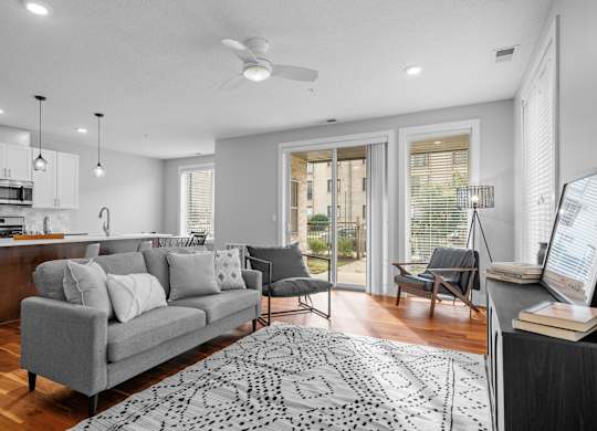 an open living room and kitchen with a couch and a rug