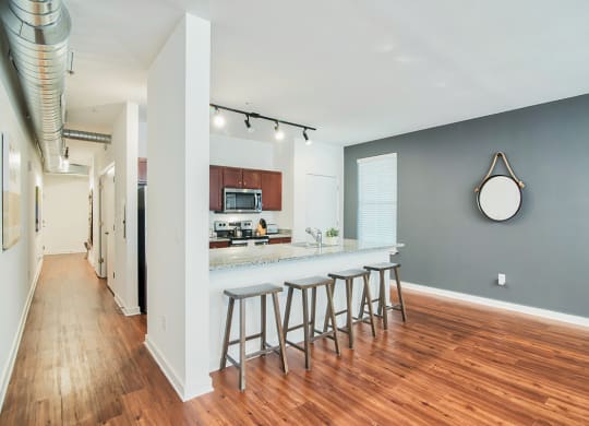 Kitchen and living room view