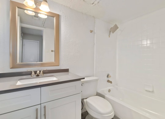 a bathroom with a sink toilet and bathtub