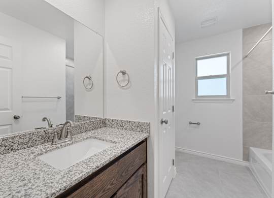 a bathroom with a sink and a mirror and a shower