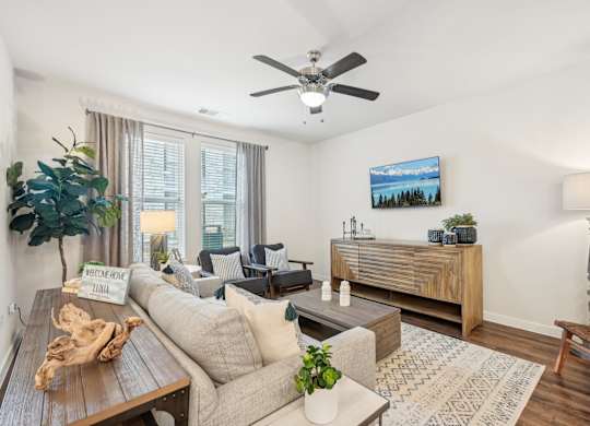 A living room with a couch, a coffee table, a TV, and a plant.