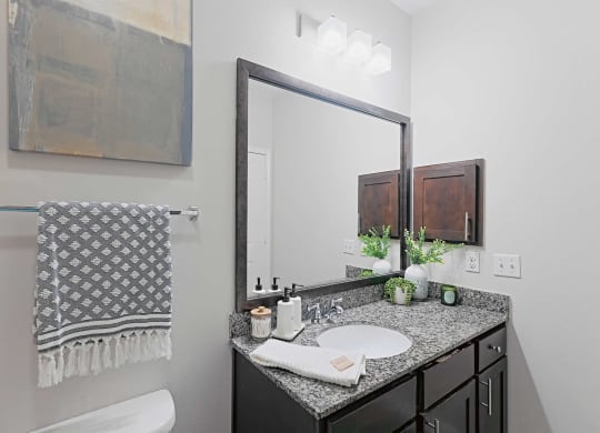 a bathroom with a sink and a mirror