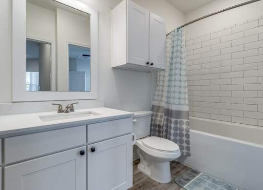 a bathroom with a white sink and toilet and a shower