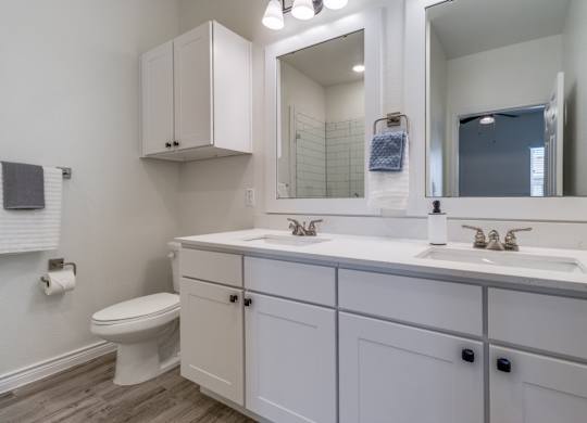 a bathroom with a sink and a mirror and a toilet