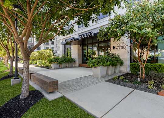 A tree in front of a building with the words