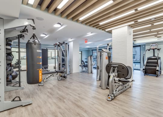 a gym with weights and cardio machines and a punching bag on the floor