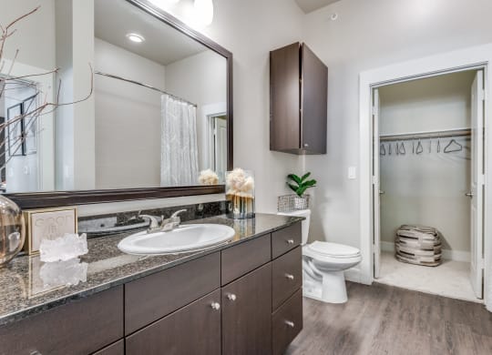 a bathroom with a toilet and a sink and a mirror