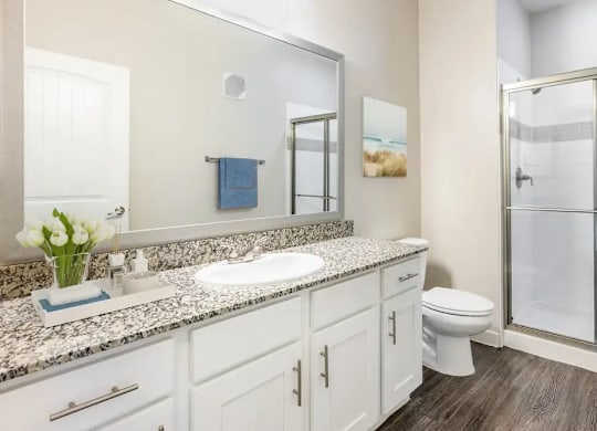 A bathroom with a sink, toilet, and a mirror.