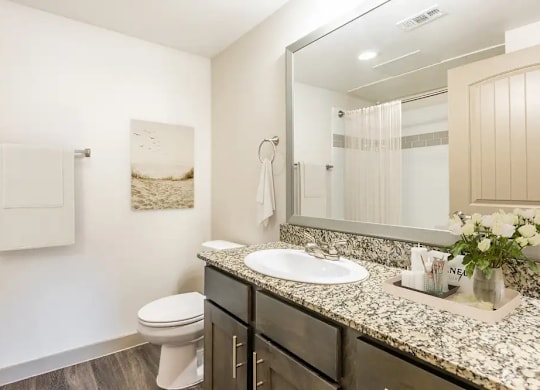 A bathroom with a toilet, sink, and mirror.
