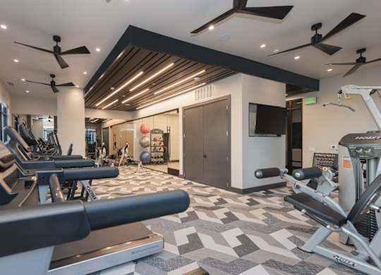 A gym with treadmills, weights, and exercise equipment.