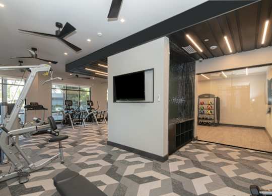 A gym with a variety of equipment including a treadmill, weights, and a television.
